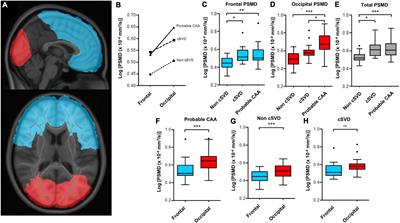 Peak width of skeletonized mean diffusivity in cerebral amyloid angiopathy: Spatial signature, cognitive, and neuroimaging associations